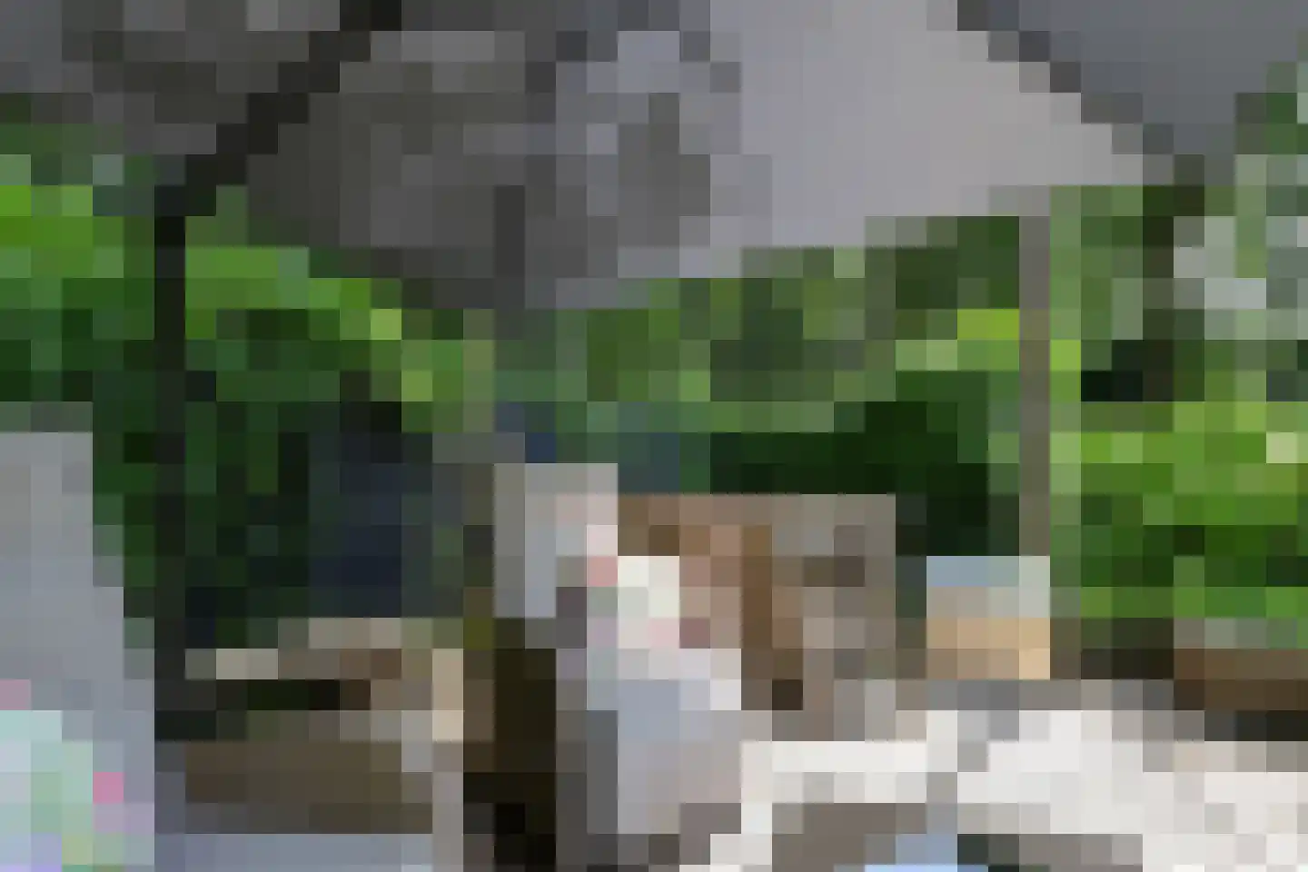 Bosweg 4 Oostvoorne thumbnail 65