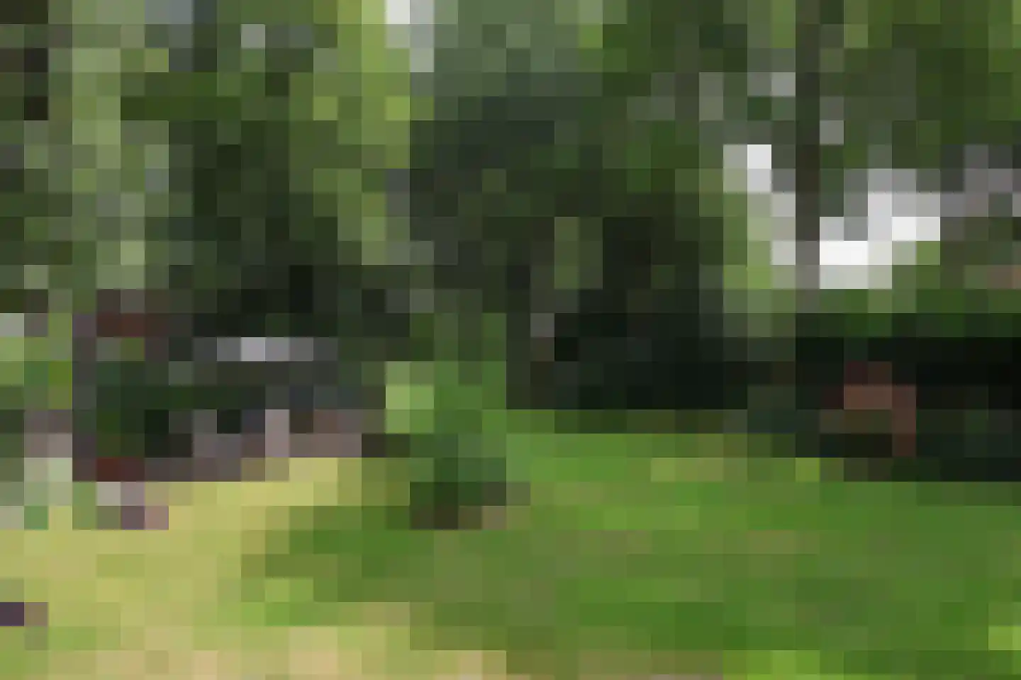 Bosweg 4 Oostvoorne thumbnail 67