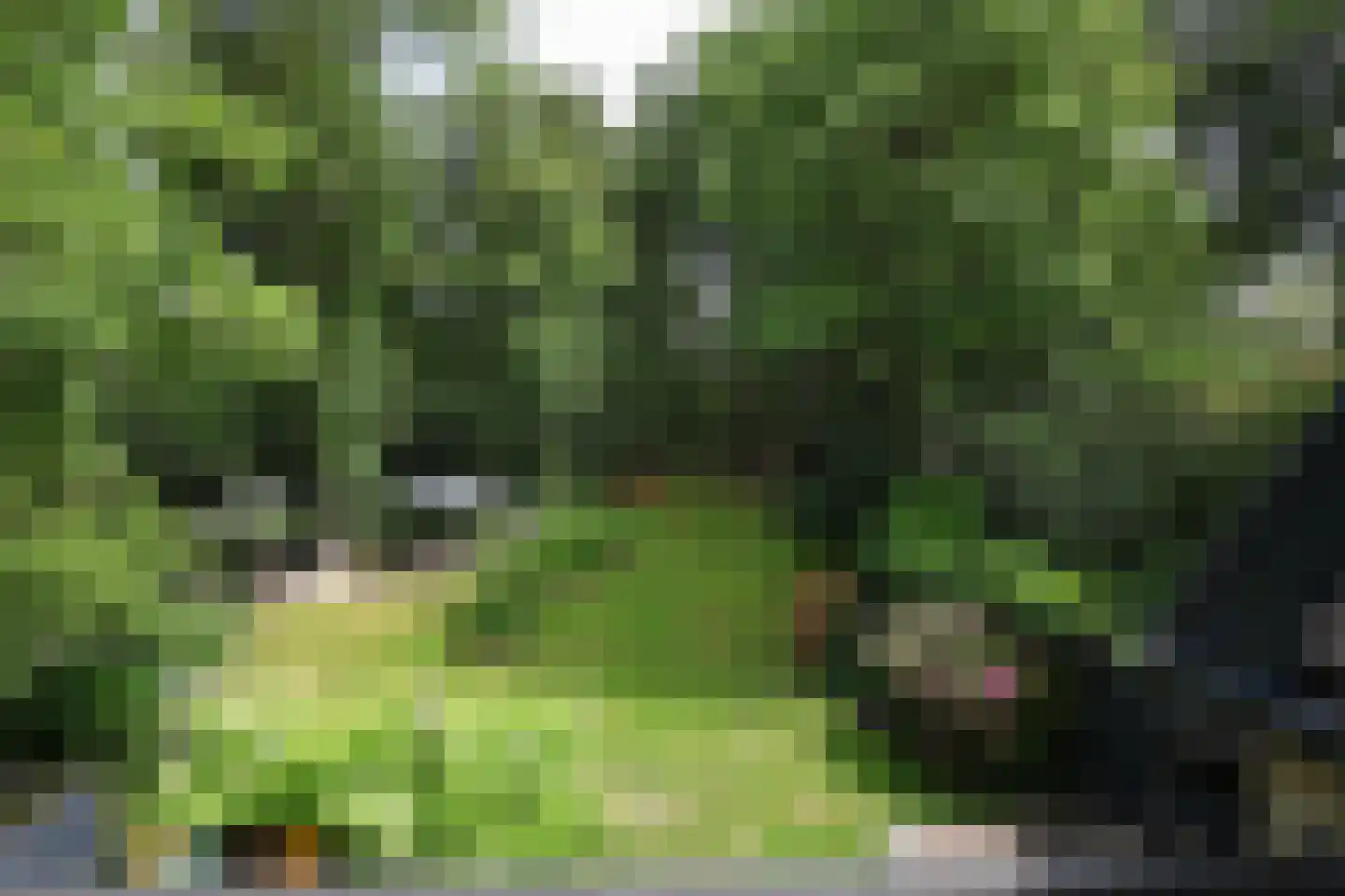 Bosweg 4 Oostvoorne thumbnail 68