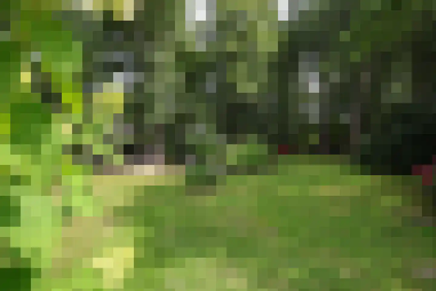 Bosweg 4 Oostvoorne thumbnail 69