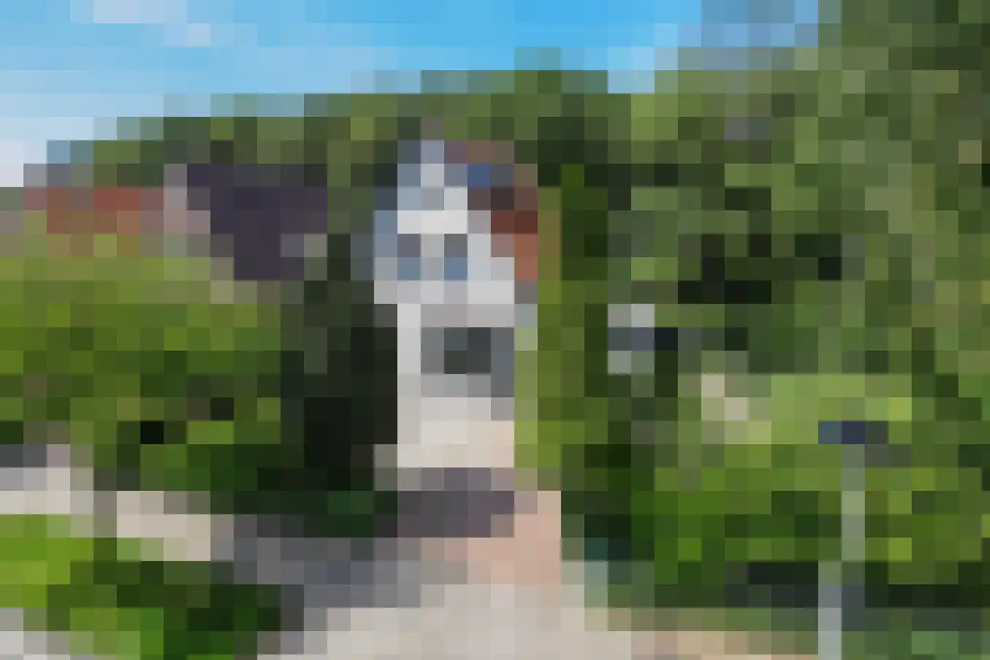 Bosweg 4 Oostvoorne thumbnail 7