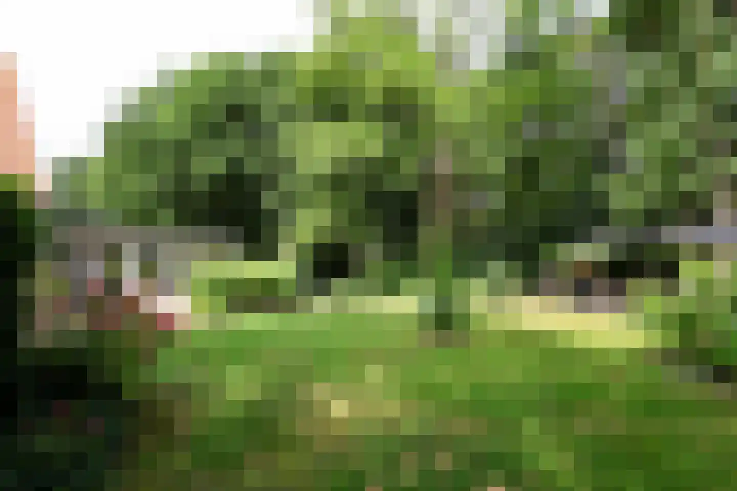 Bosweg 4 Oostvoorne thumbnail 70