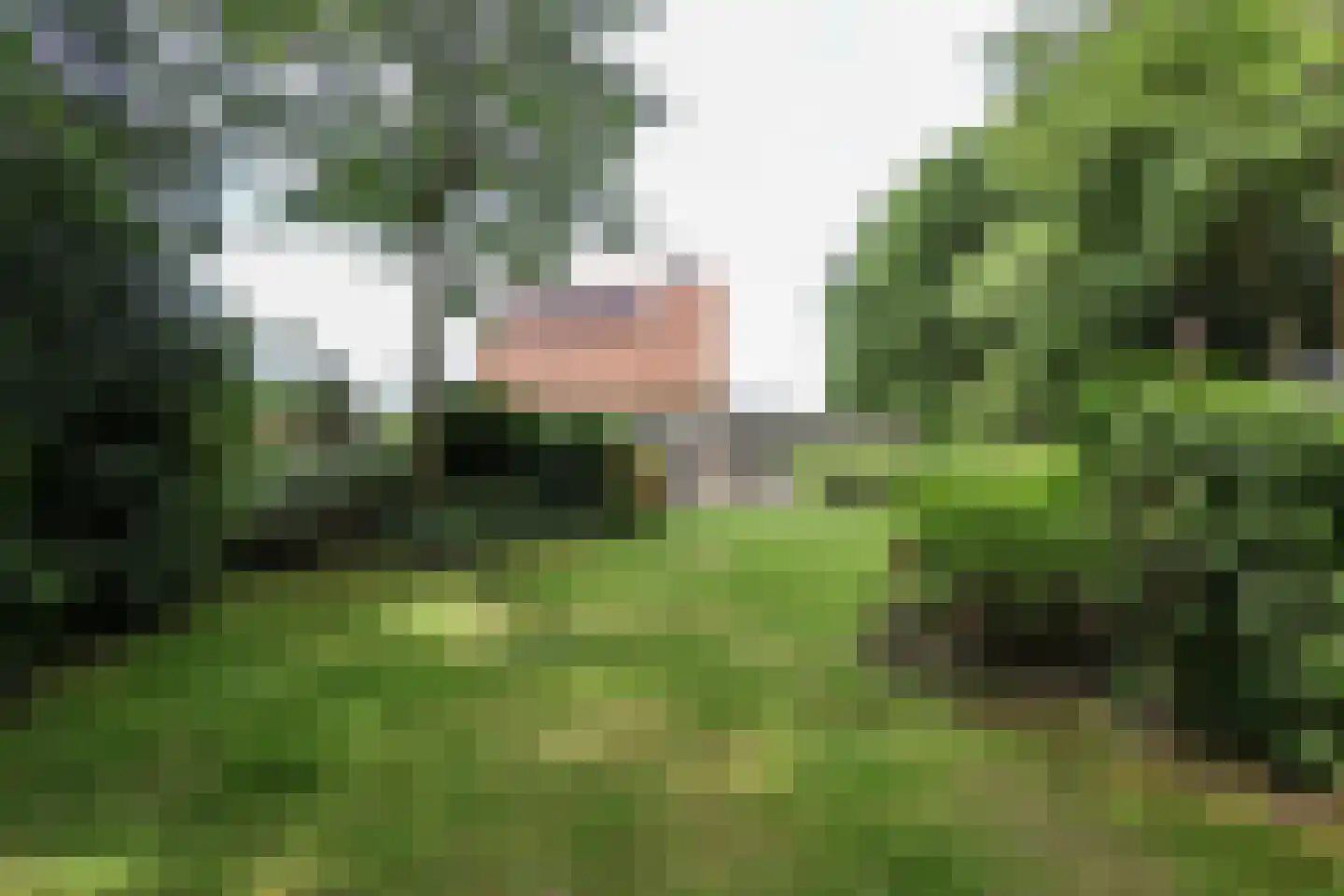 Bosweg 4 Oostvoorne thumbnail 73