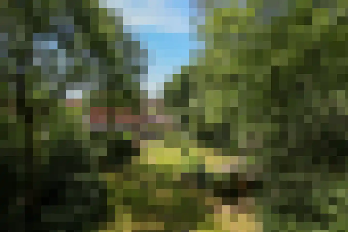 Bosweg 4 Oostvoorne thumbnail 75