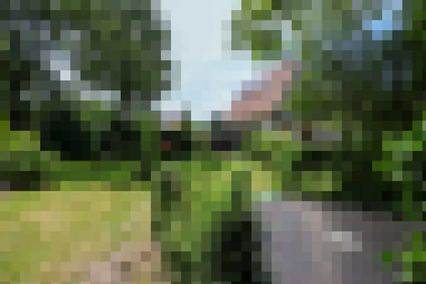 Bosweg 4 Oostvoorne thumbnail 76