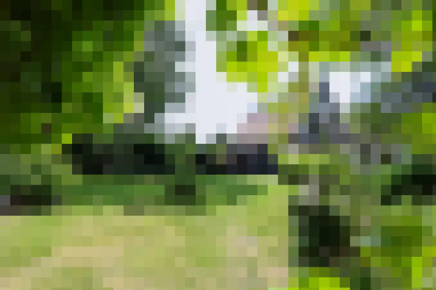 Bosweg 4 Oostvoorne thumbnail 77