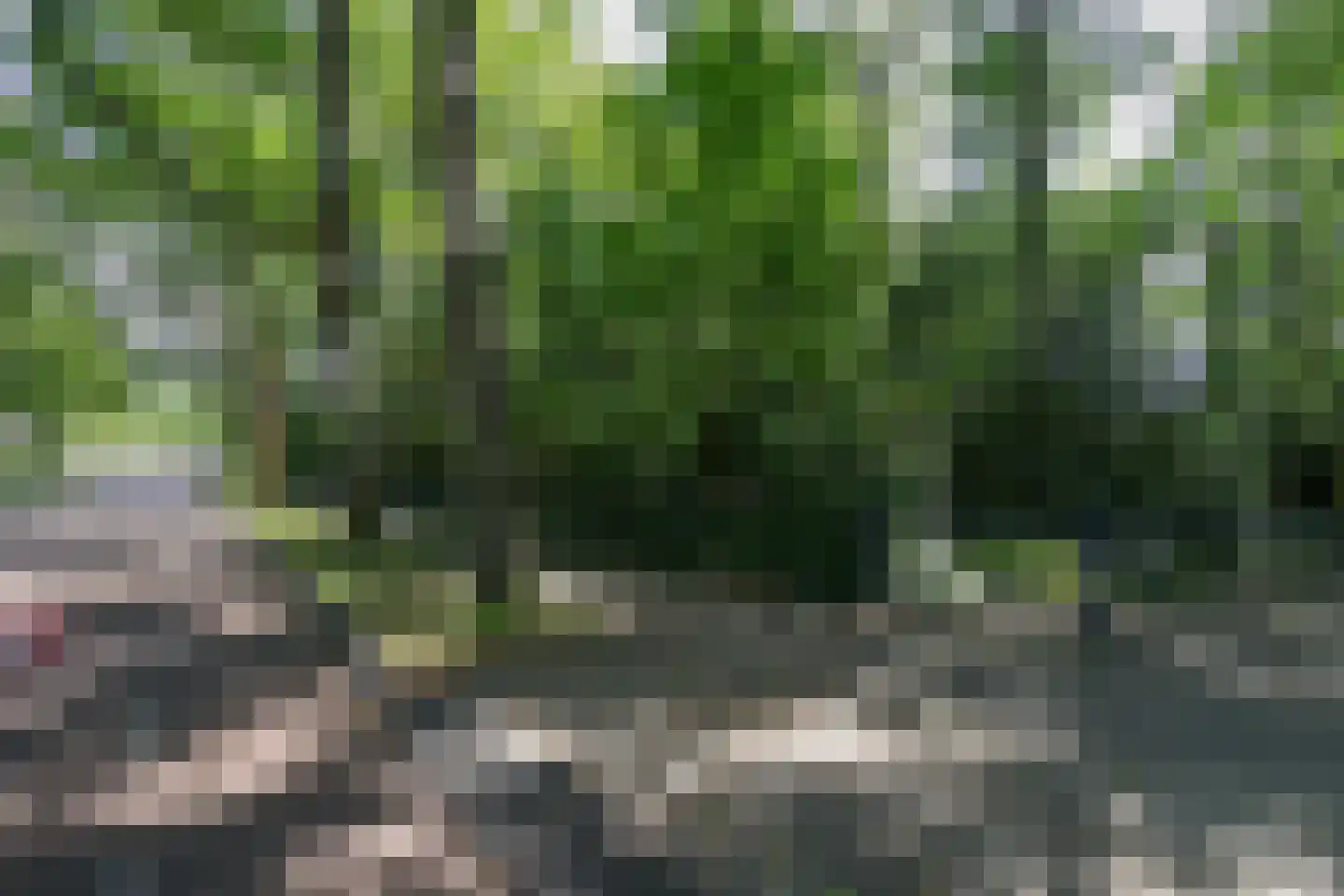 Bosweg 4 Oostvoorne thumbnail 78
