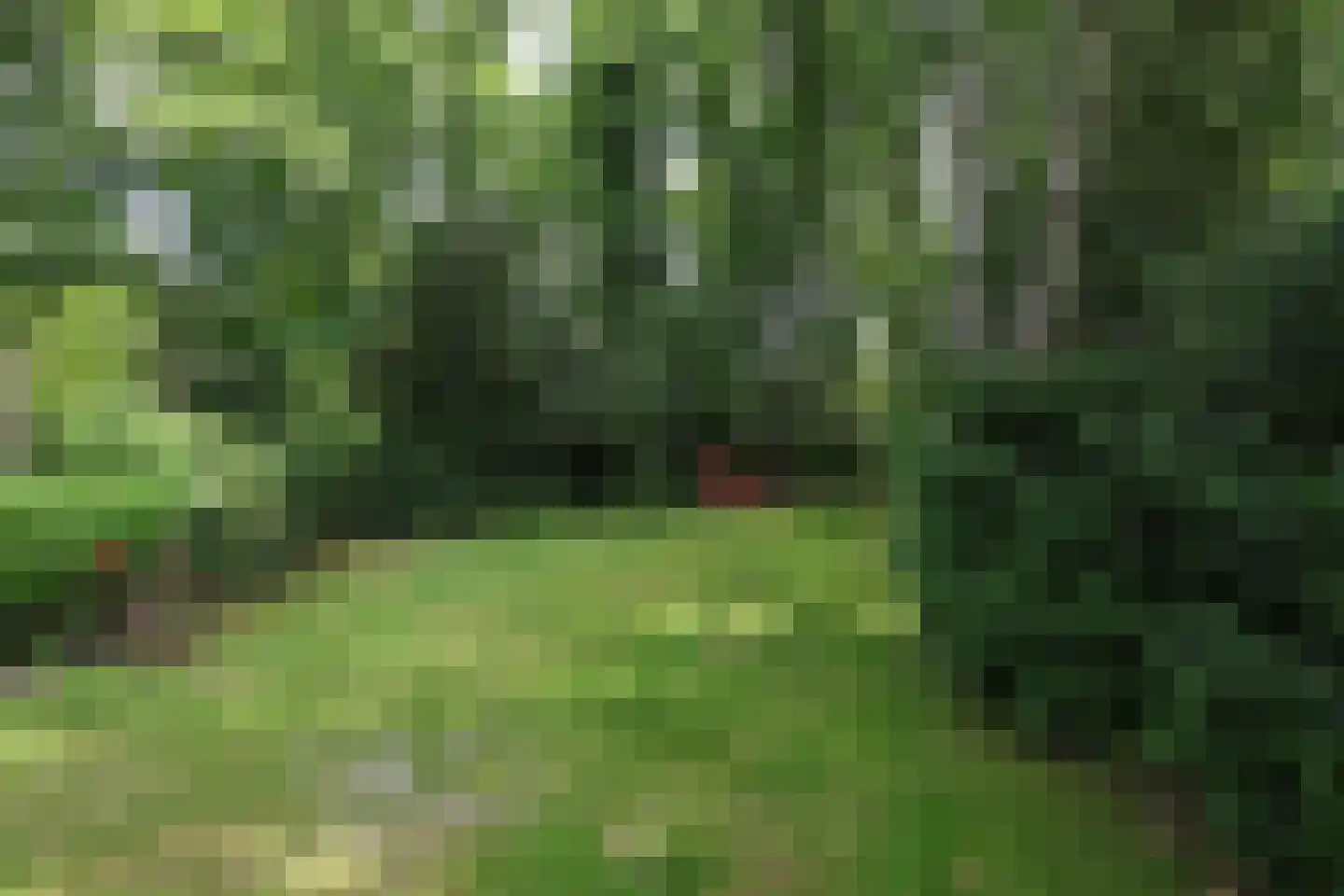 Bosweg 4 Oostvoorne thumbnail 79