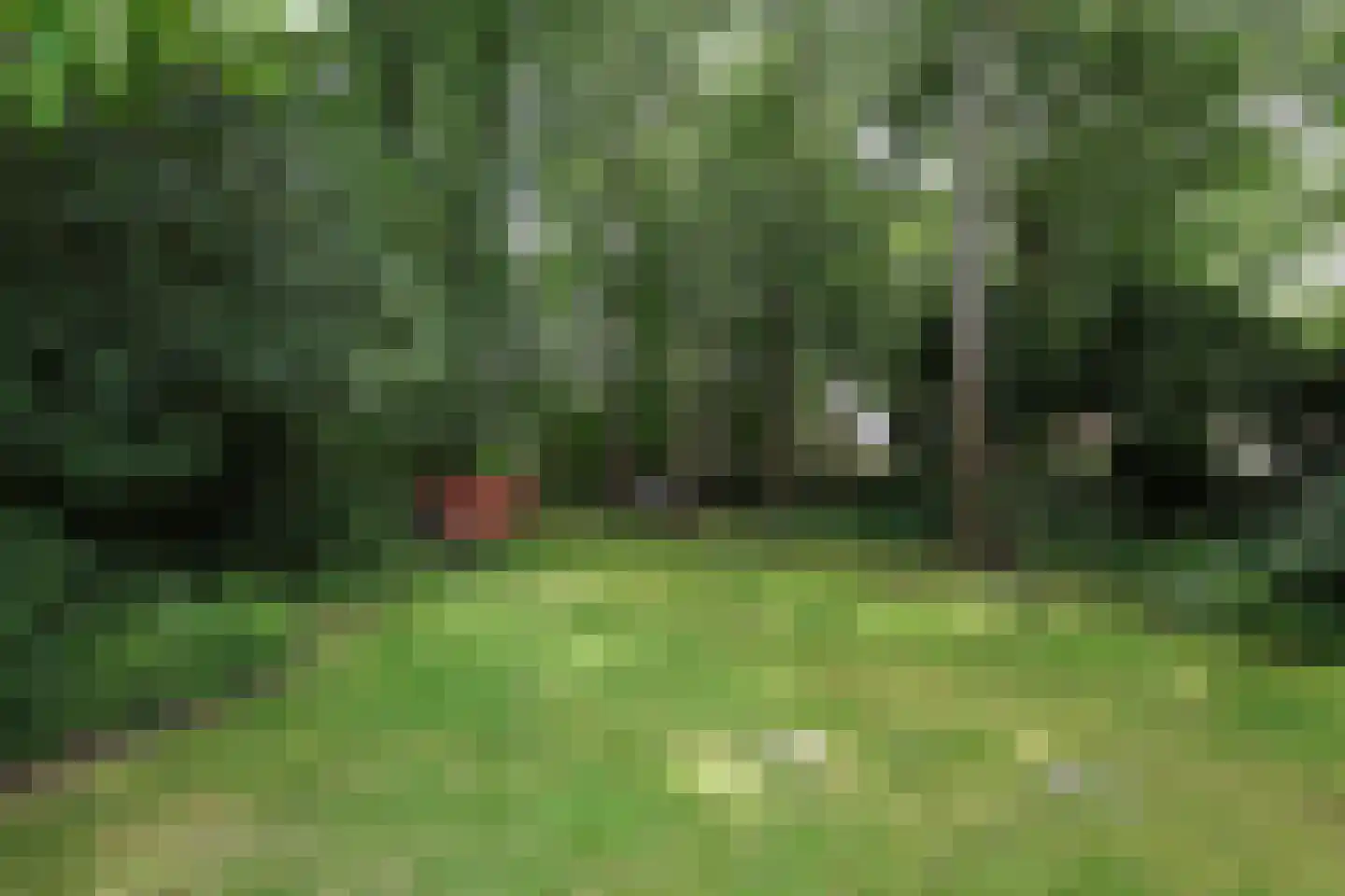Bosweg 4 Oostvoorne thumbnail 80
