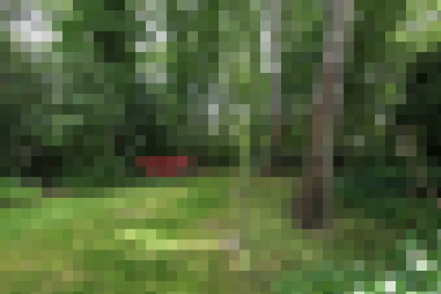 Bosweg 4 Oostvoorne thumbnail 81