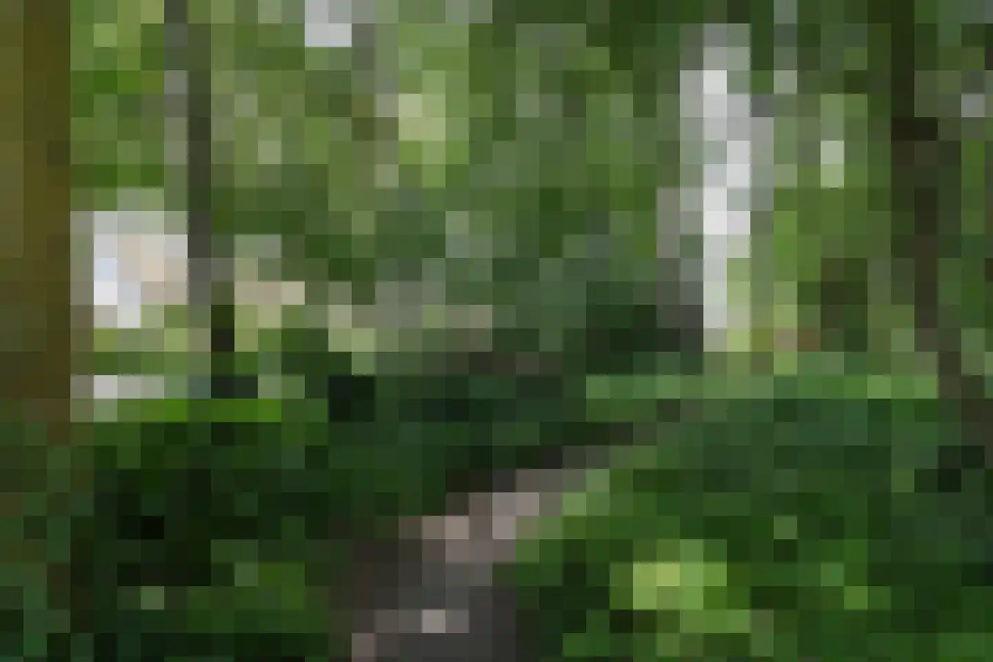Bosweg 4 Oostvoorne thumbnail 82