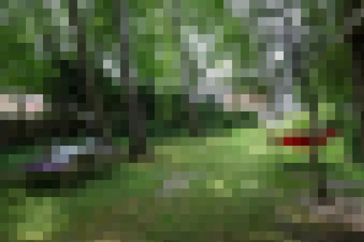Bosweg 4 Oostvoorne thumbnail 83