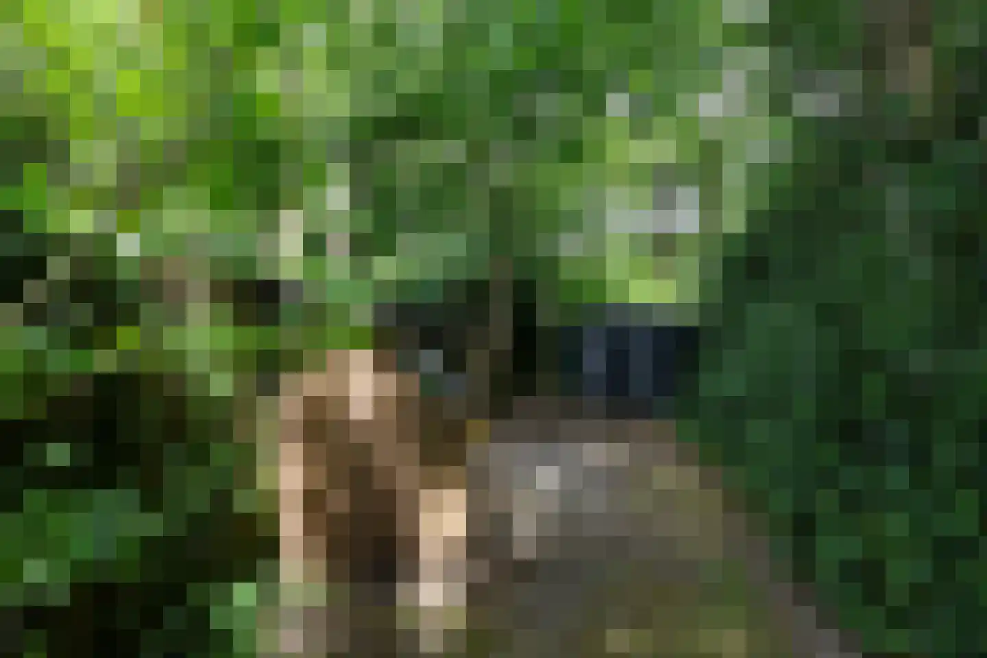 Bosweg 4 Oostvoorne thumbnail 84