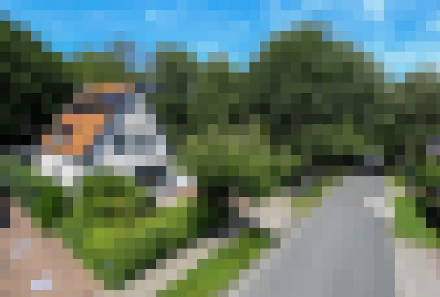 Bosweg 4 Oostvoorne thumbnail 9