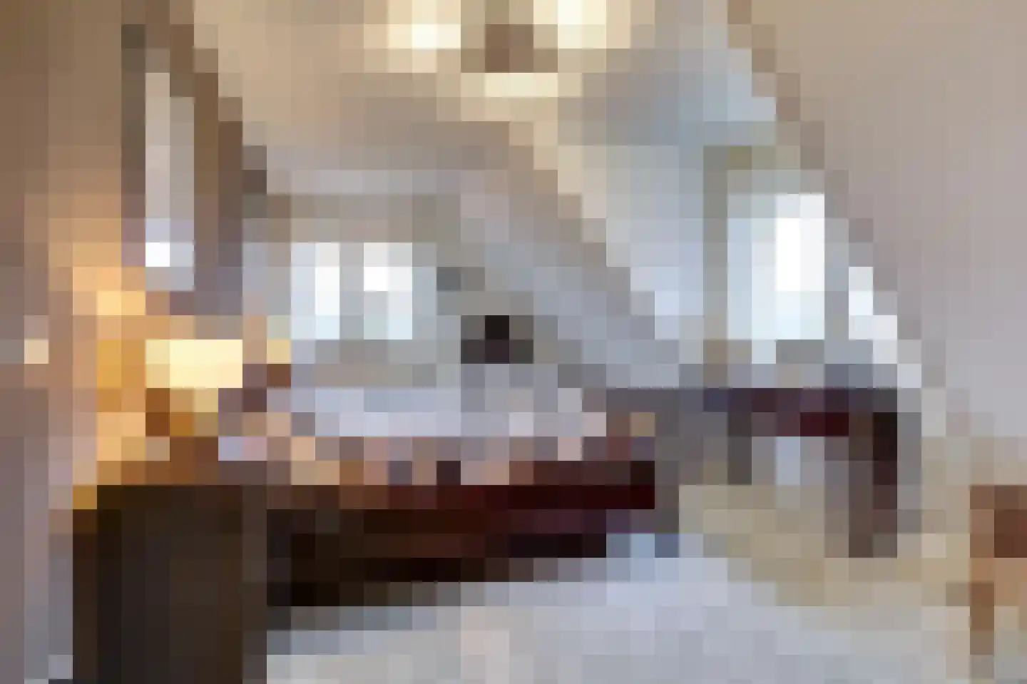 Bosweg 4 Venlo thumbnail 19