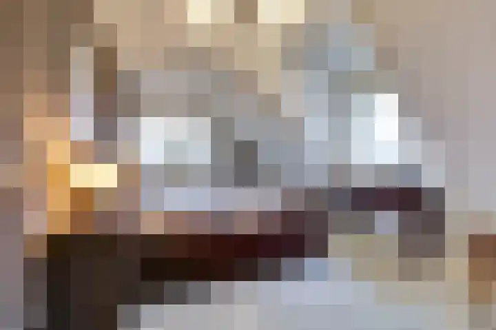 Bosweg 4 Venlo thumbnail 19
