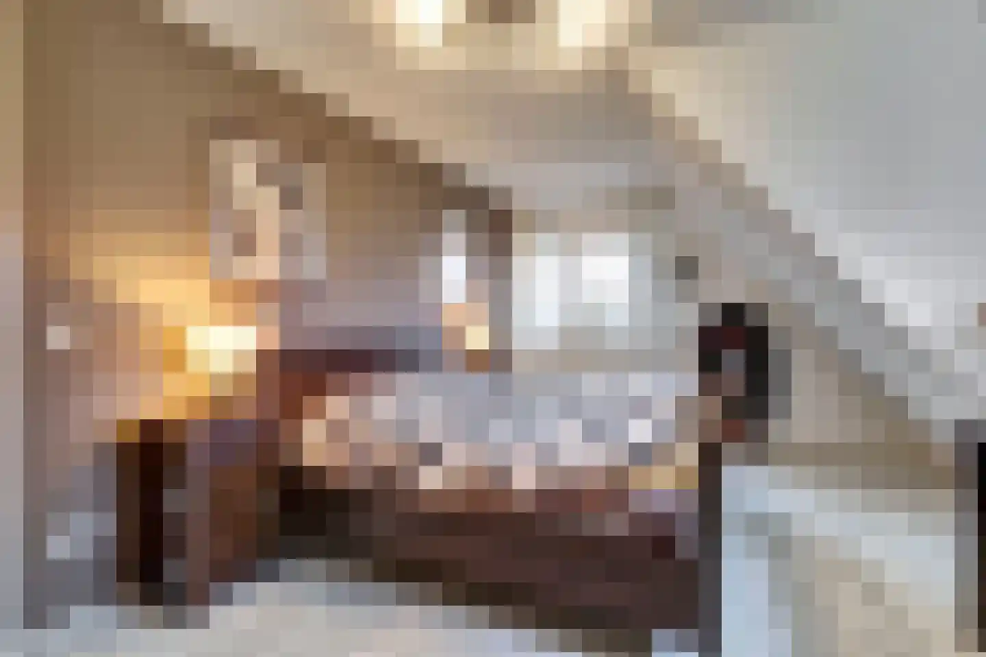 Bosweg 4 Venlo thumbnail 20