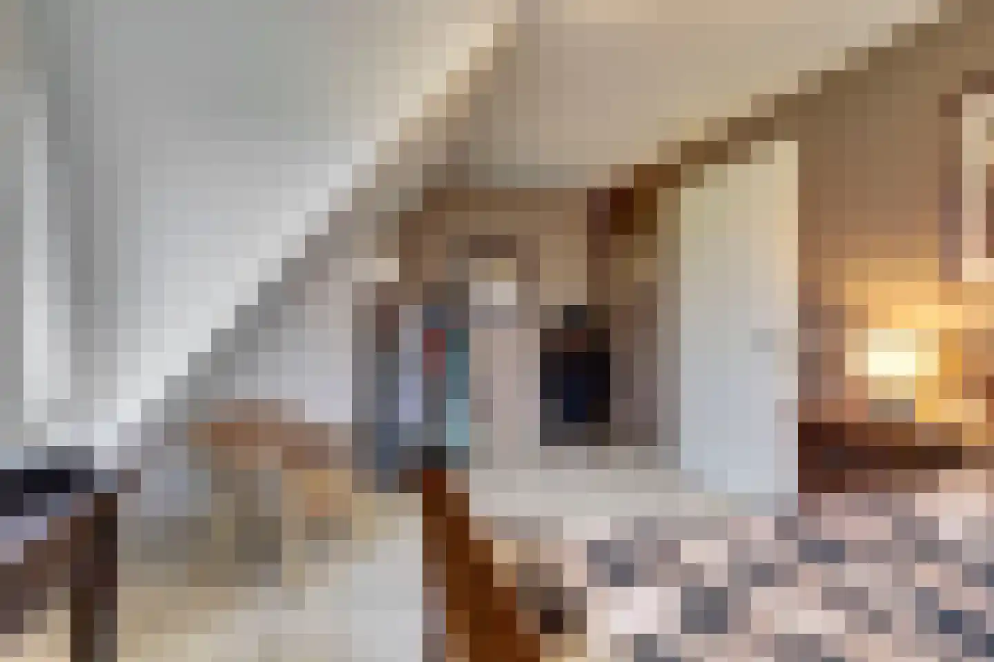 Bosweg 4 Venlo thumbnail 21