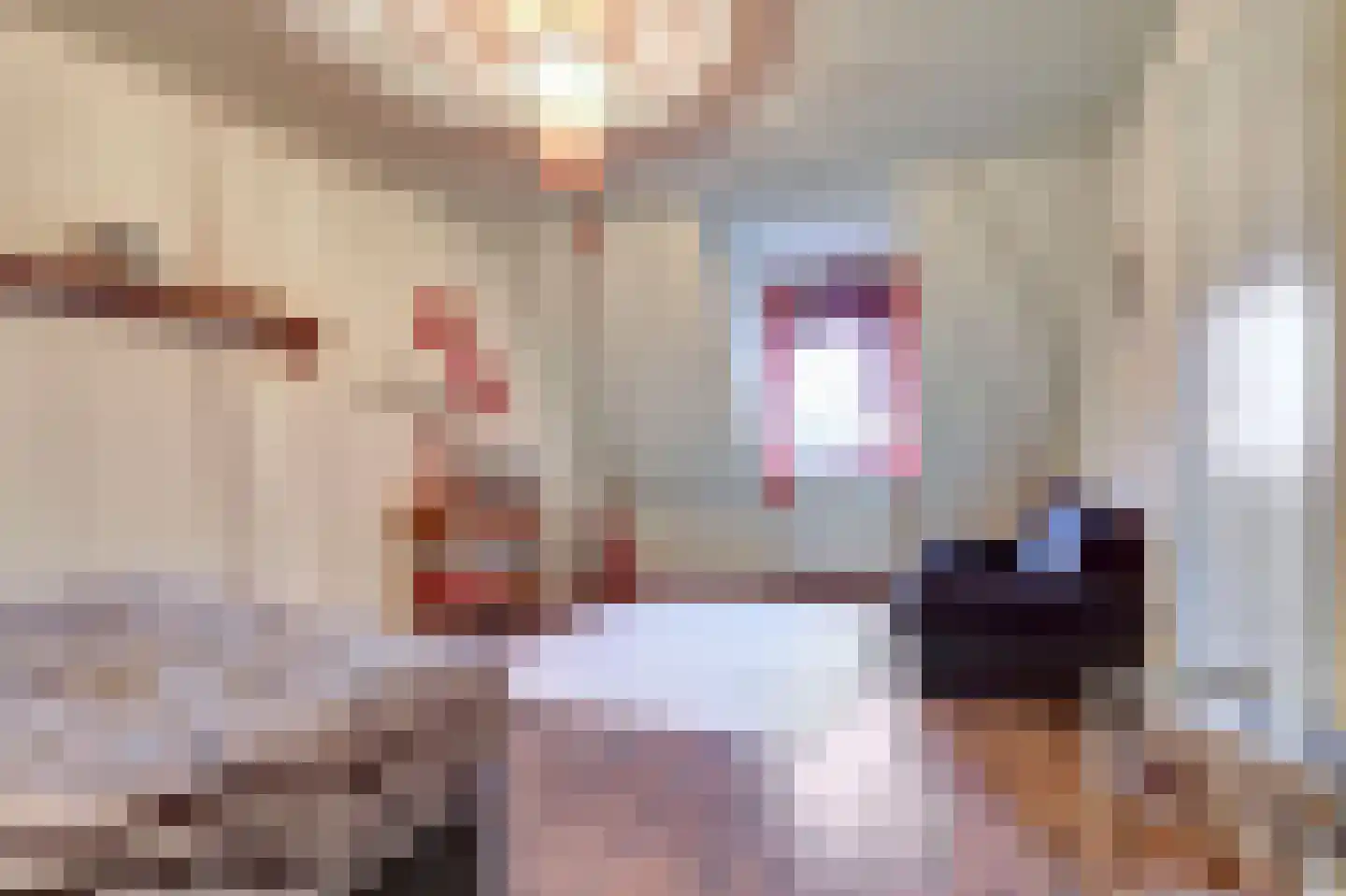 Bosweg 4 Venlo thumbnail 25