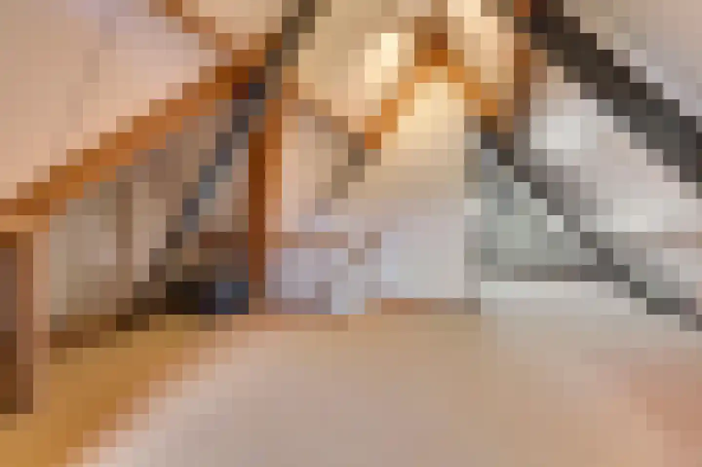 Bosweg 4 Venlo thumbnail 30