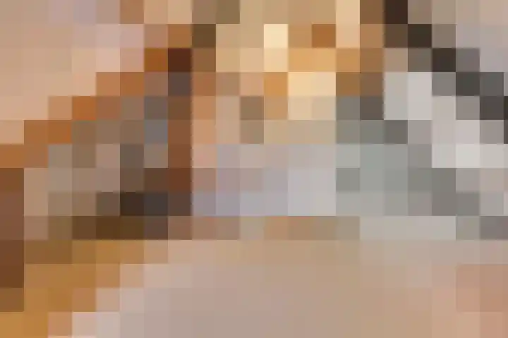 Bosweg 4 Venlo thumbnail 30