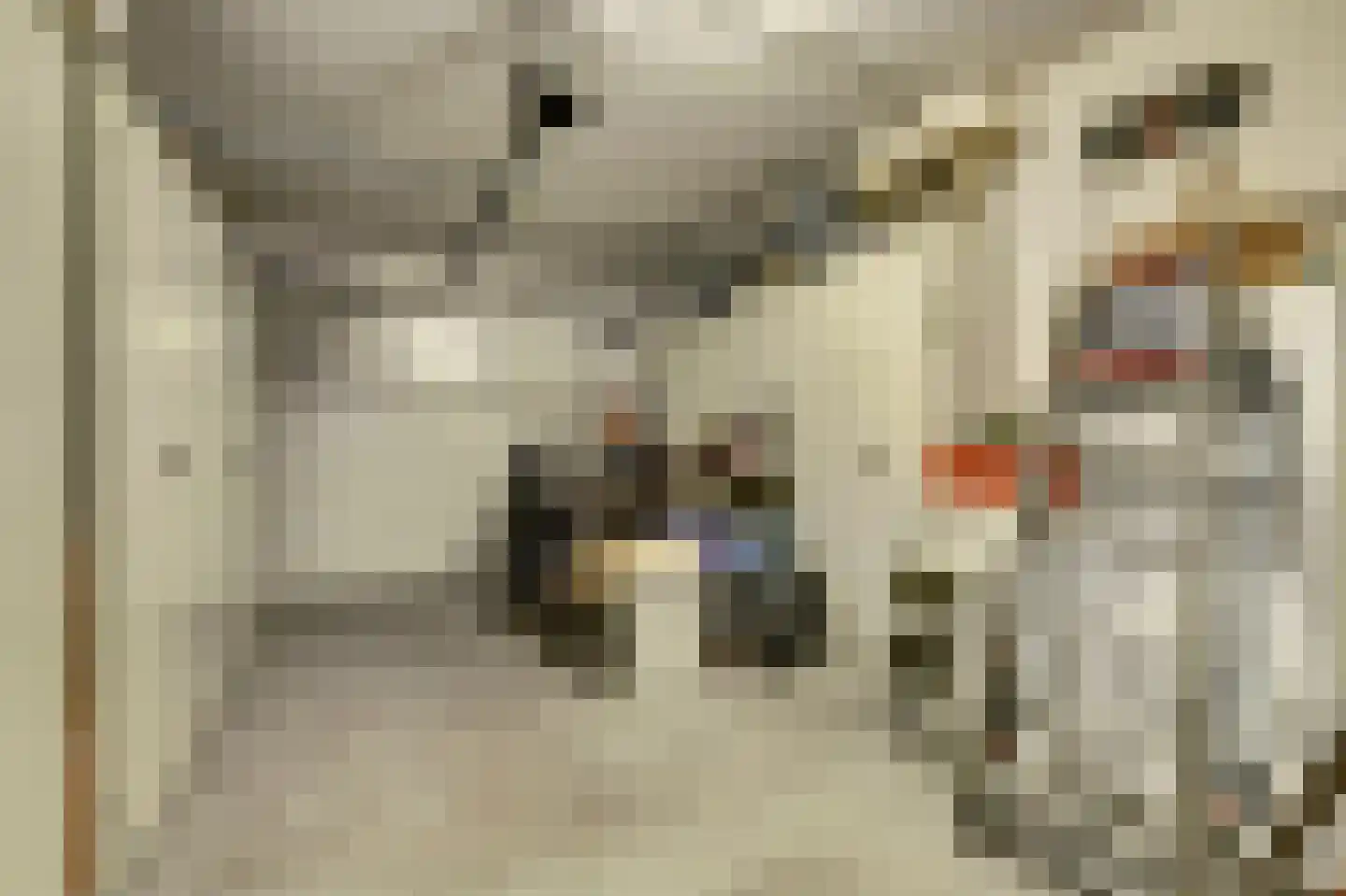 Bosweg 4 Venlo thumbnail 33