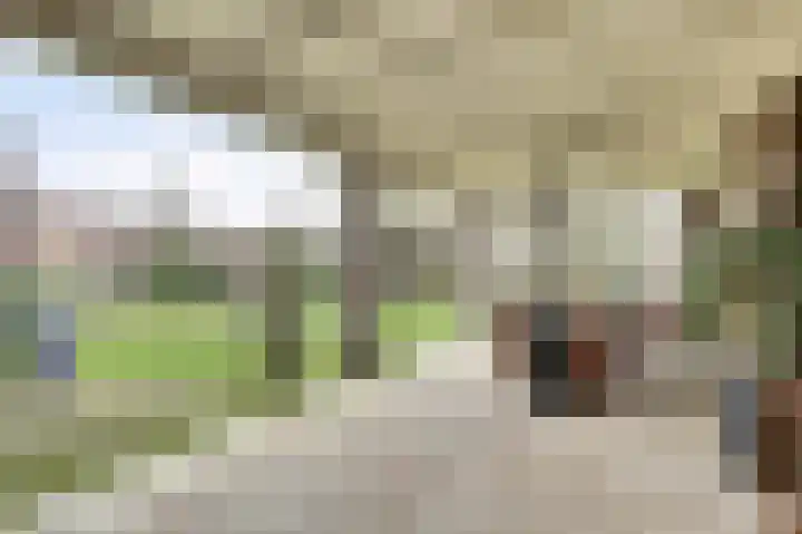 Bosweg 4 Venlo thumbnail 37
