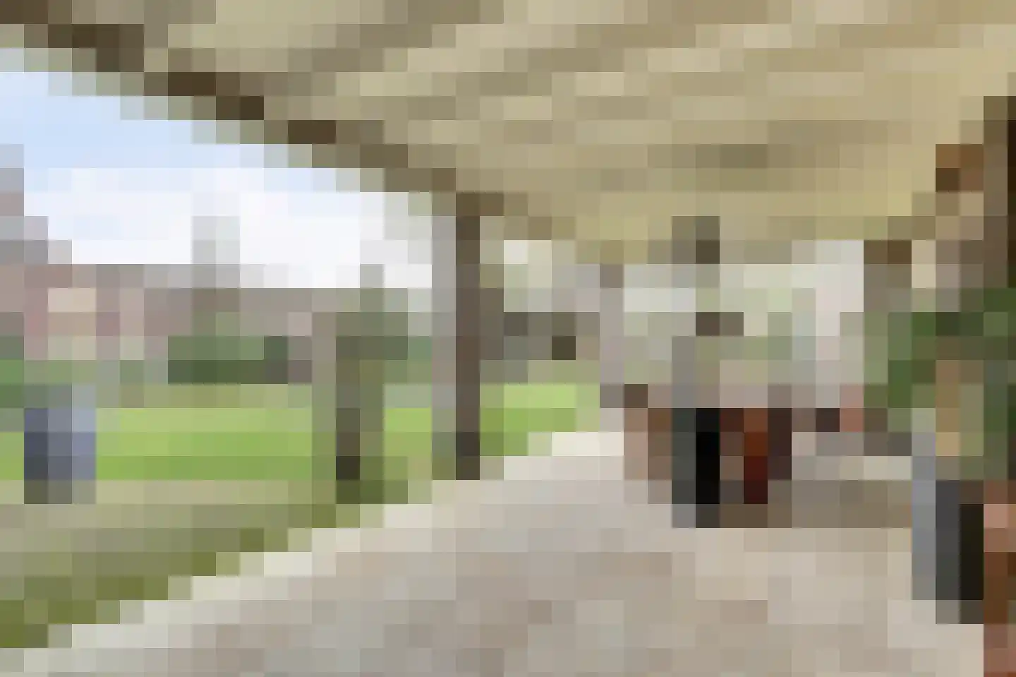 Bosweg 4 Venlo thumbnail 37