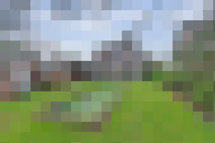 Bosweg 4 Venlo thumbnail 40