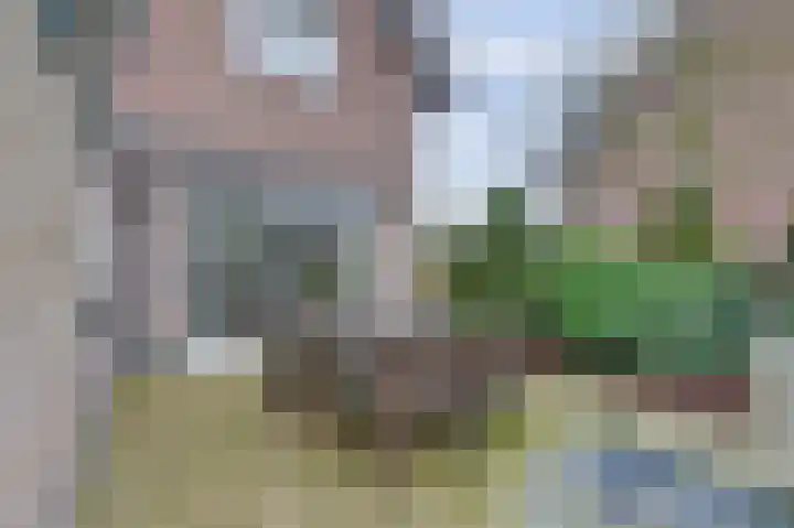 Bosweg 4 Venlo thumbnail 41