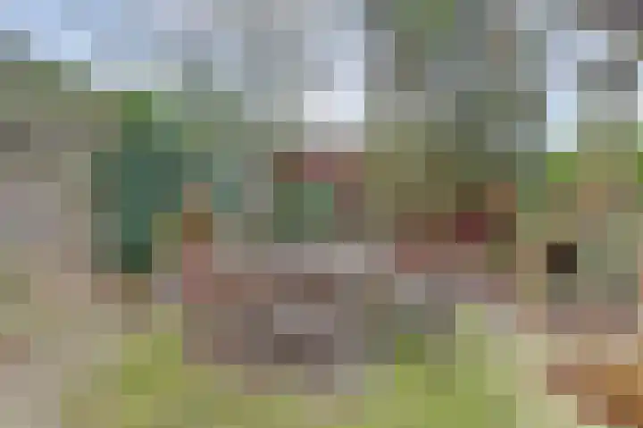 Bosweg 4 Venlo thumbnail 43