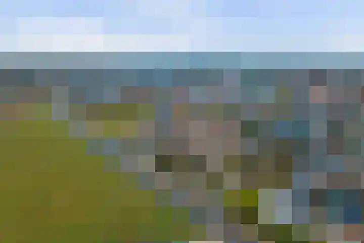 Bosweg 4 Venlo thumbnail 44