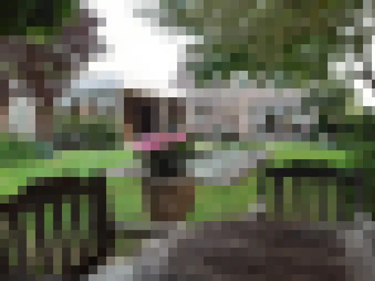 Bosweg 4 Venlo thumbnail 45