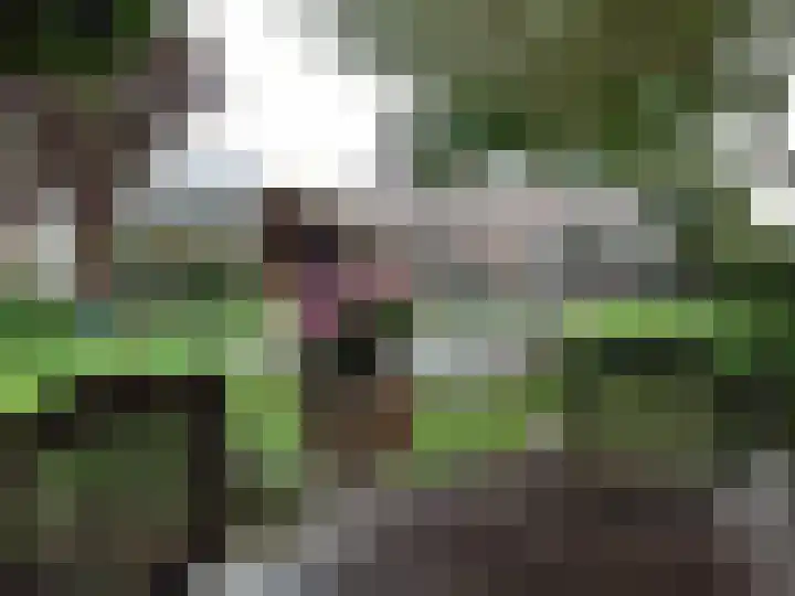Bosweg 4 Venlo thumbnail 45