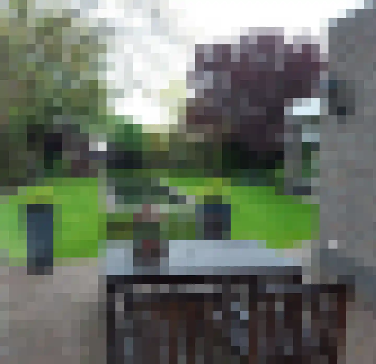 Bosweg 4 Venlo thumbnail 47