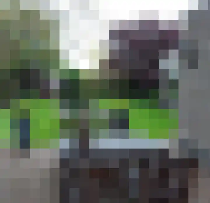 Bosweg 4 Venlo thumbnail 47