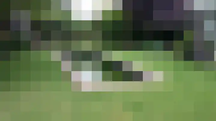 Bosweg 4 Venlo thumbnail 48