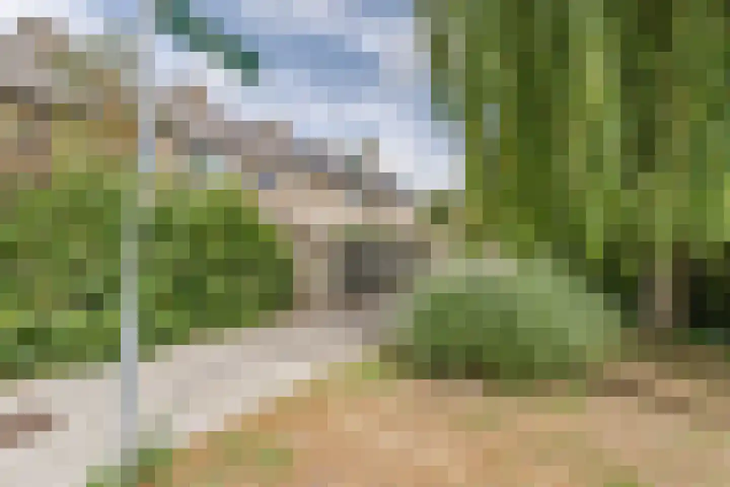 Bosweg 40 Boskoop thumbnail 34