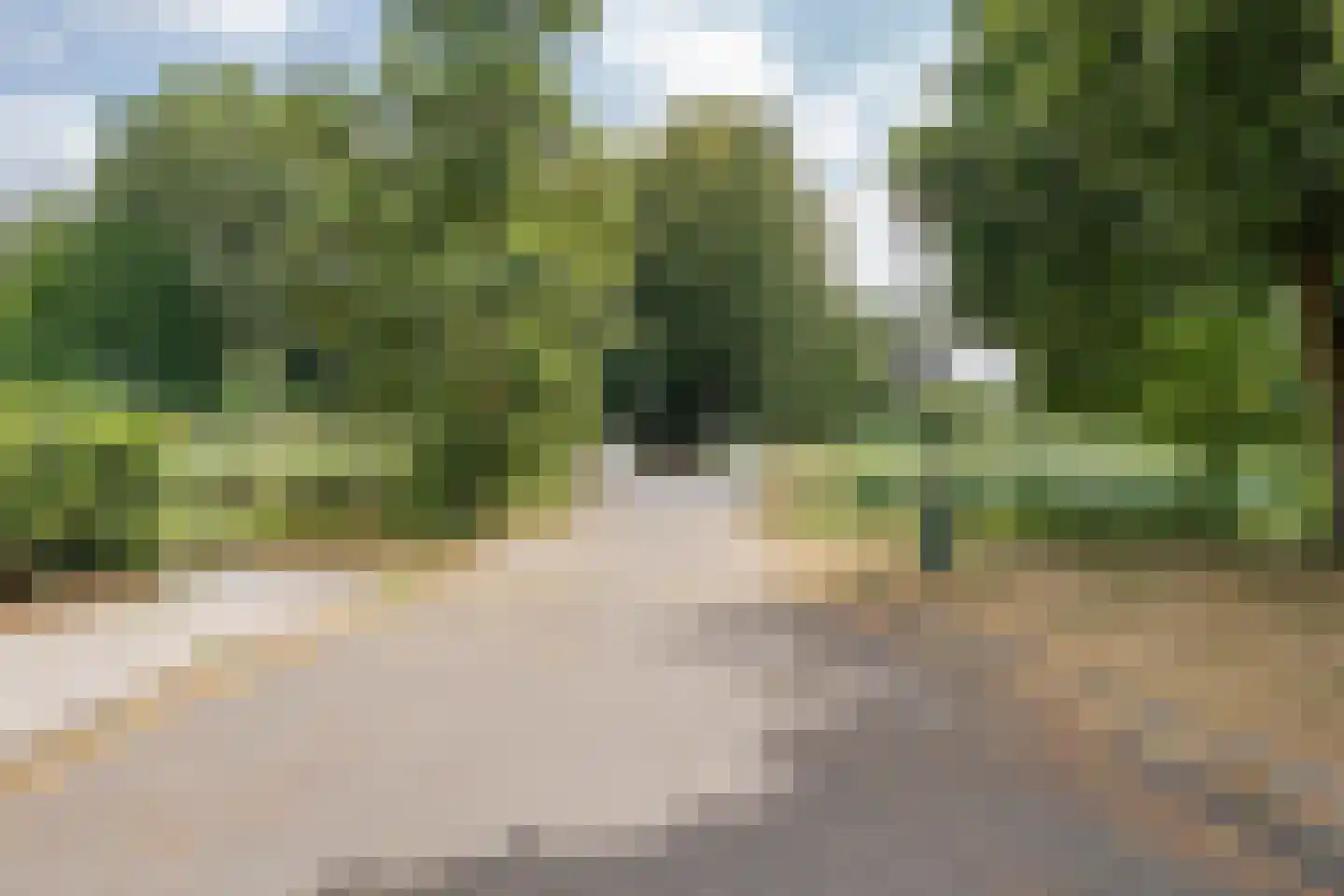 Bosweg 40 Boskoop thumbnail 36