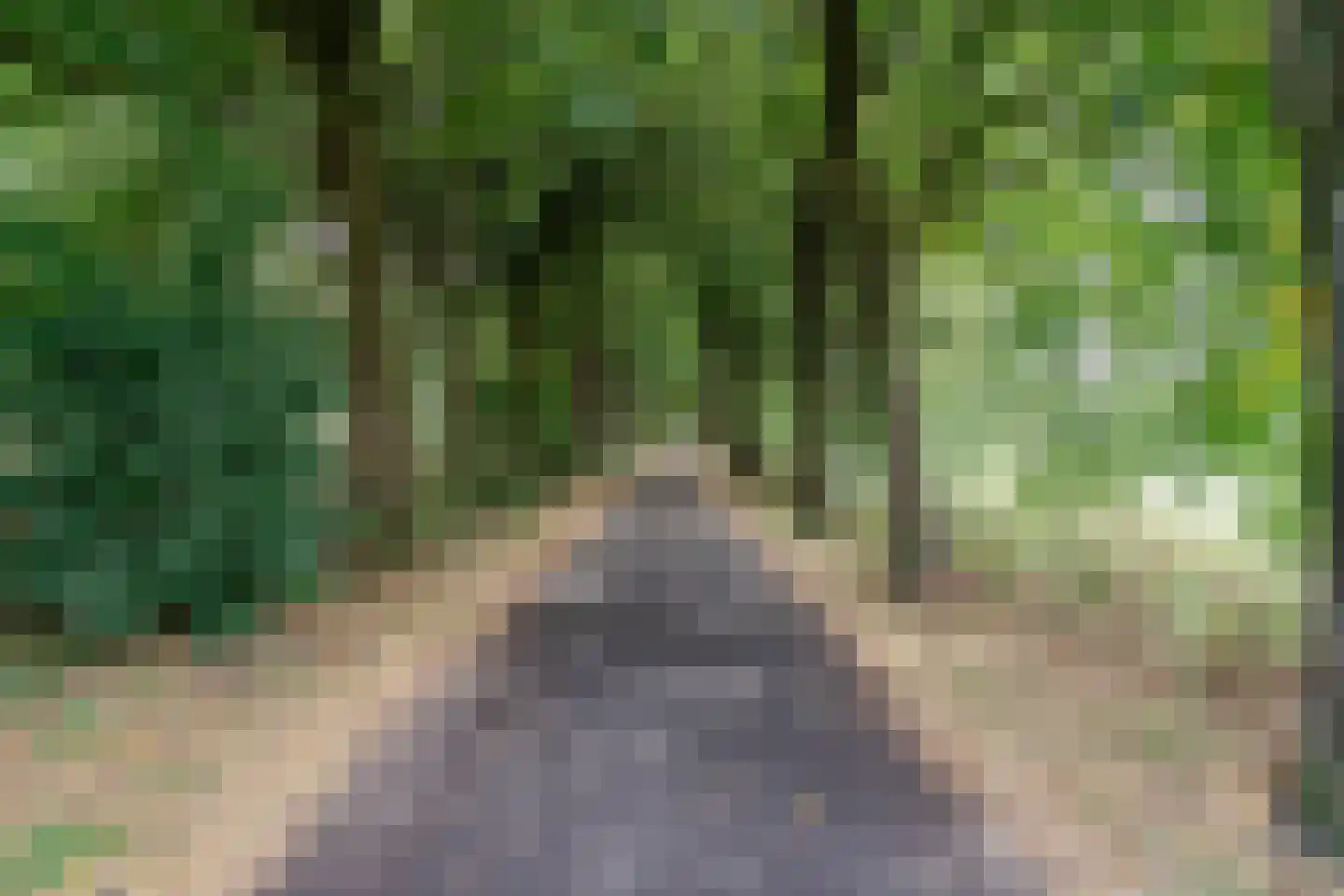 Bosweg 40 Boskoop thumbnail 38