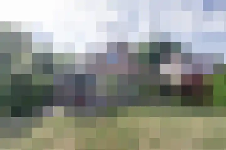Bosweg 40 Burgh-Haamstede thumbnail 26