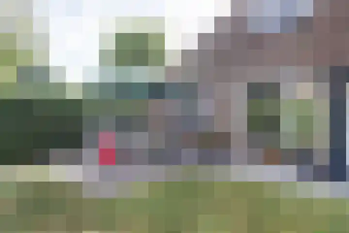 Bosweg 40 Burgh-Haamstede thumbnail 27