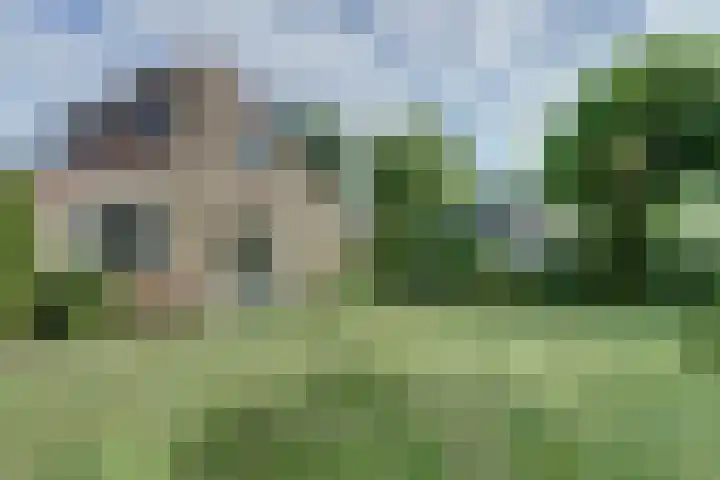 Bosweg 40 Burgh-Haamstede thumbnail 28