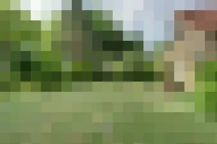 Bosweg 40 Burgh-Haamstede thumbnail 29