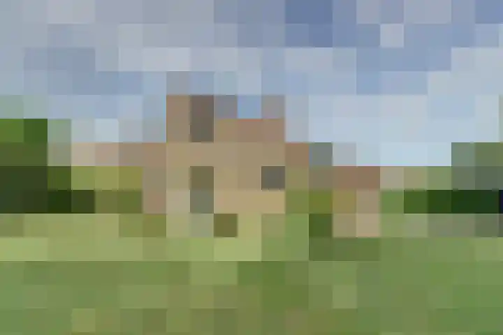 Bosweg 40 Burgh-Haamstede thumbnail 30