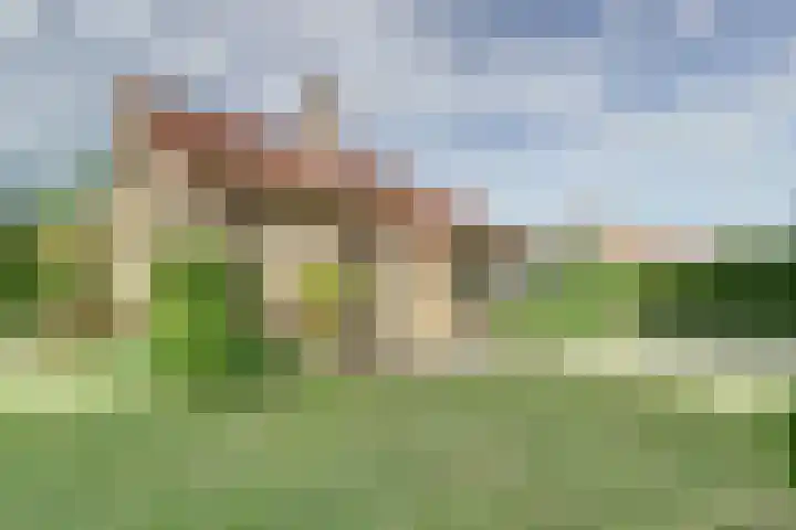 Bosweg 40 Burgh-Haamstede thumbnail 31