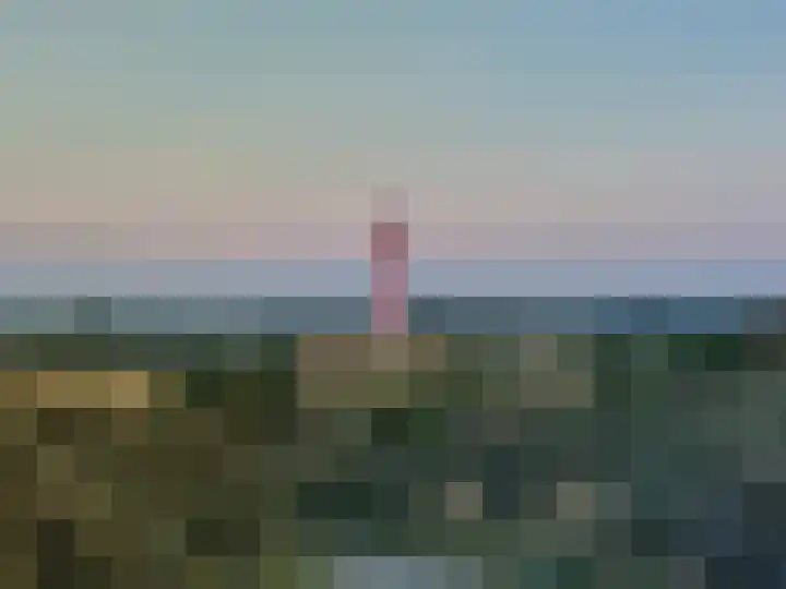 Bosweg 40 Burgh-Haamstede thumbnail 32