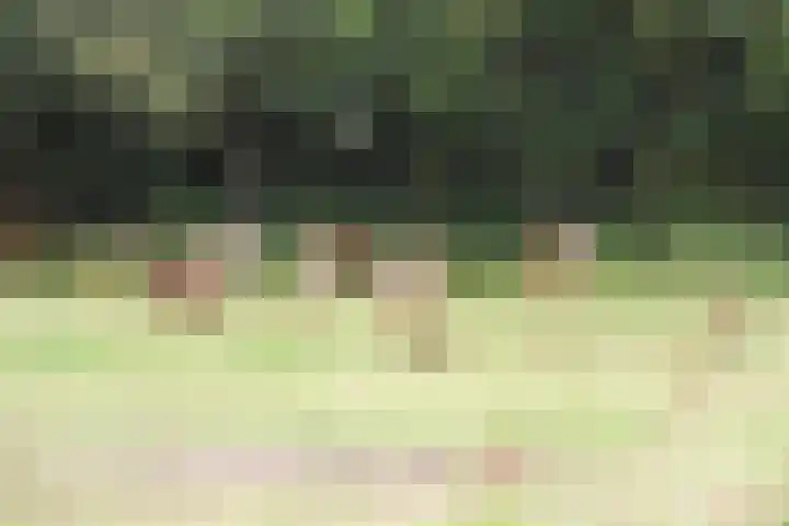 Bosweg 40 Burgh-Haamstede thumbnail 36