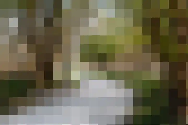 Bosweg 40 Burgh-Haamstede thumbnail 38
