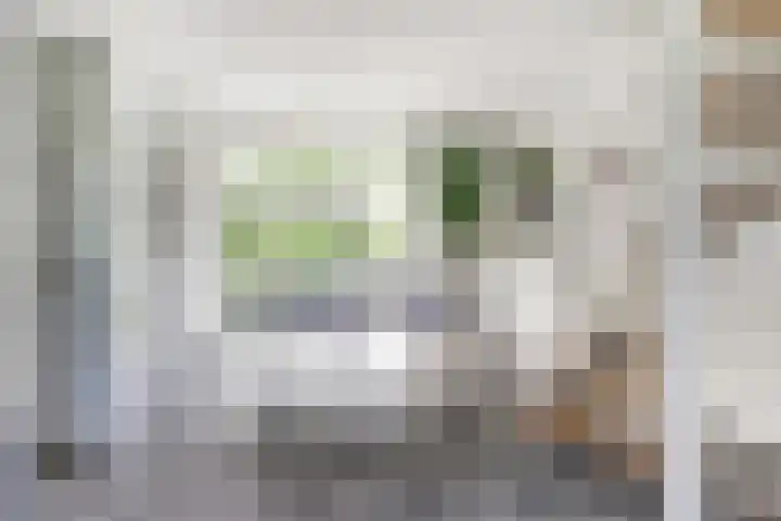 Bosweg 40 Burgh-Haamstede thumbnail 7